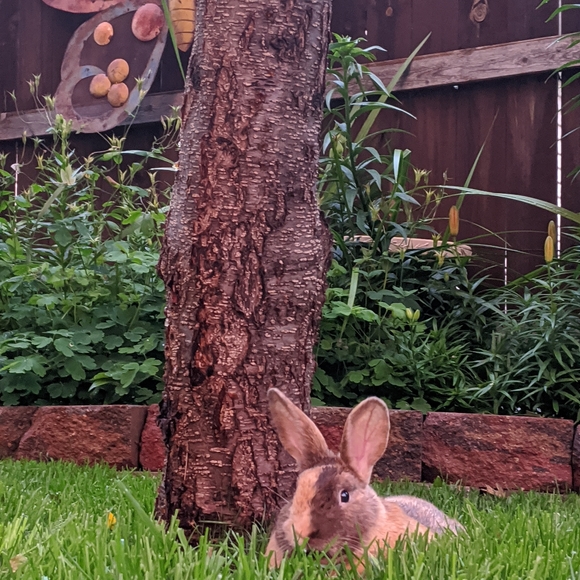 Meet your Posher, Kathleen - Picture 3 of 16